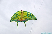 RIMINI 2012 - 083